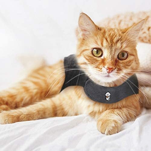 Summer Pet Vest