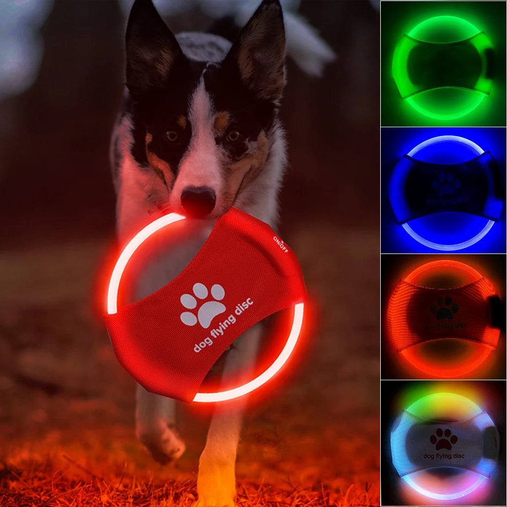 LED Glow Dog Frisbee