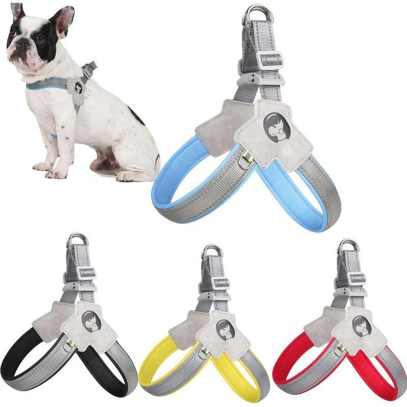 Adjustable No-Pull Pet Harness with Leash