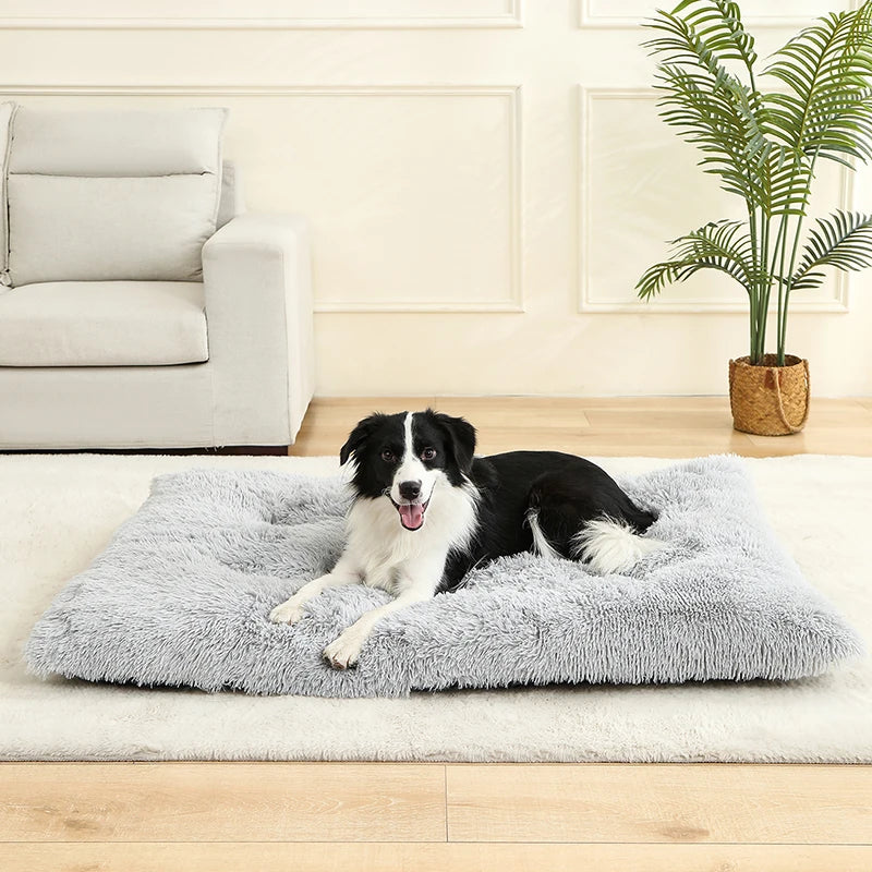 Plush Cushioned Pet Bed