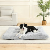 Plush Cushioned Pet Bed