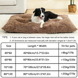Plush Cushioned Pet Bed