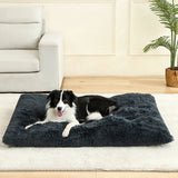 Plush Cushioned Pet Bed