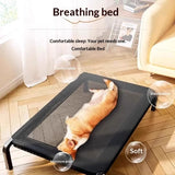 Elevated Dog Bed
