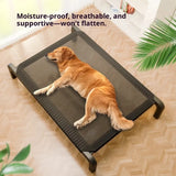 Elevated Dog Bed