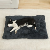 Plush Cushioned Pet Bed