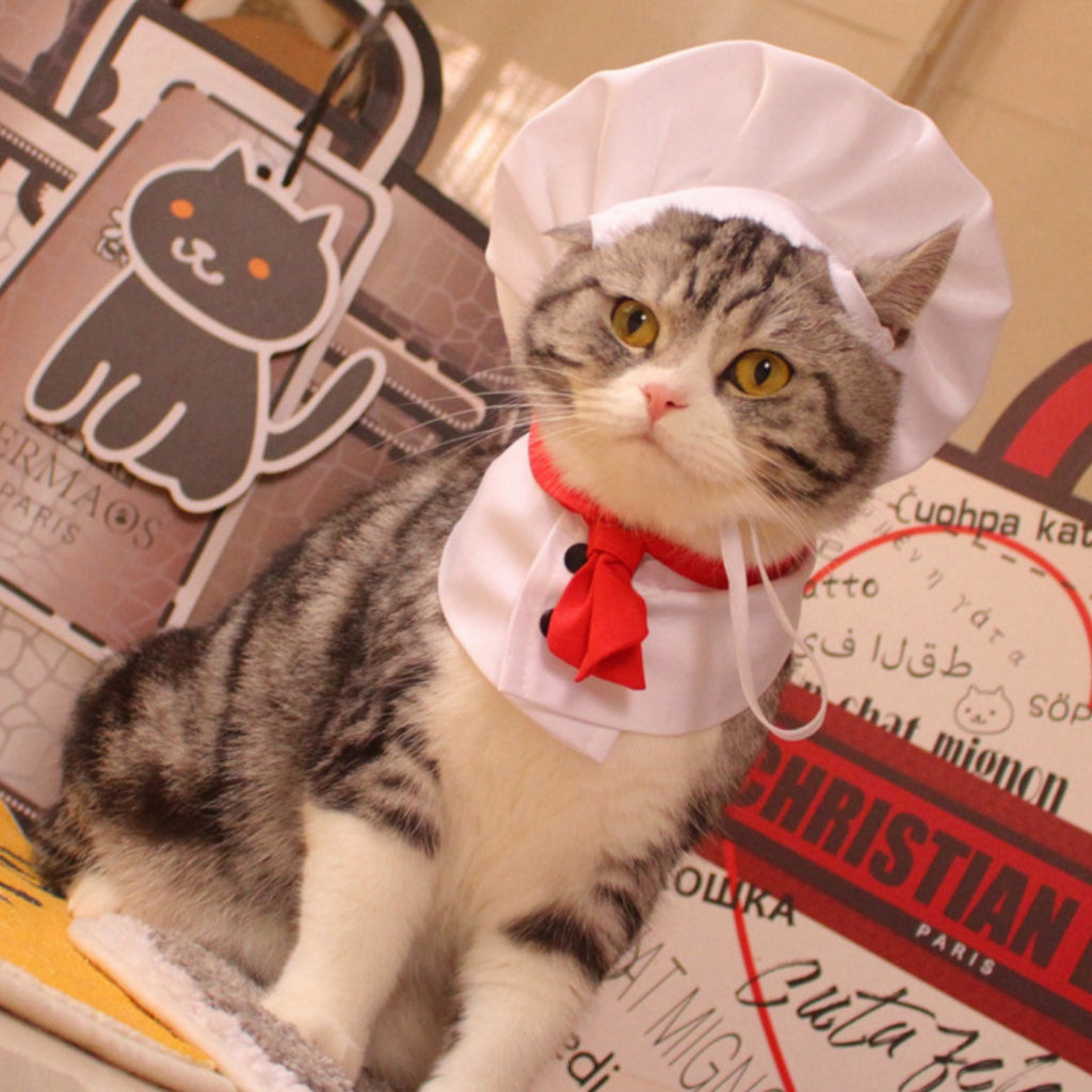 Chef Hat & Cloak Costume for Pets
