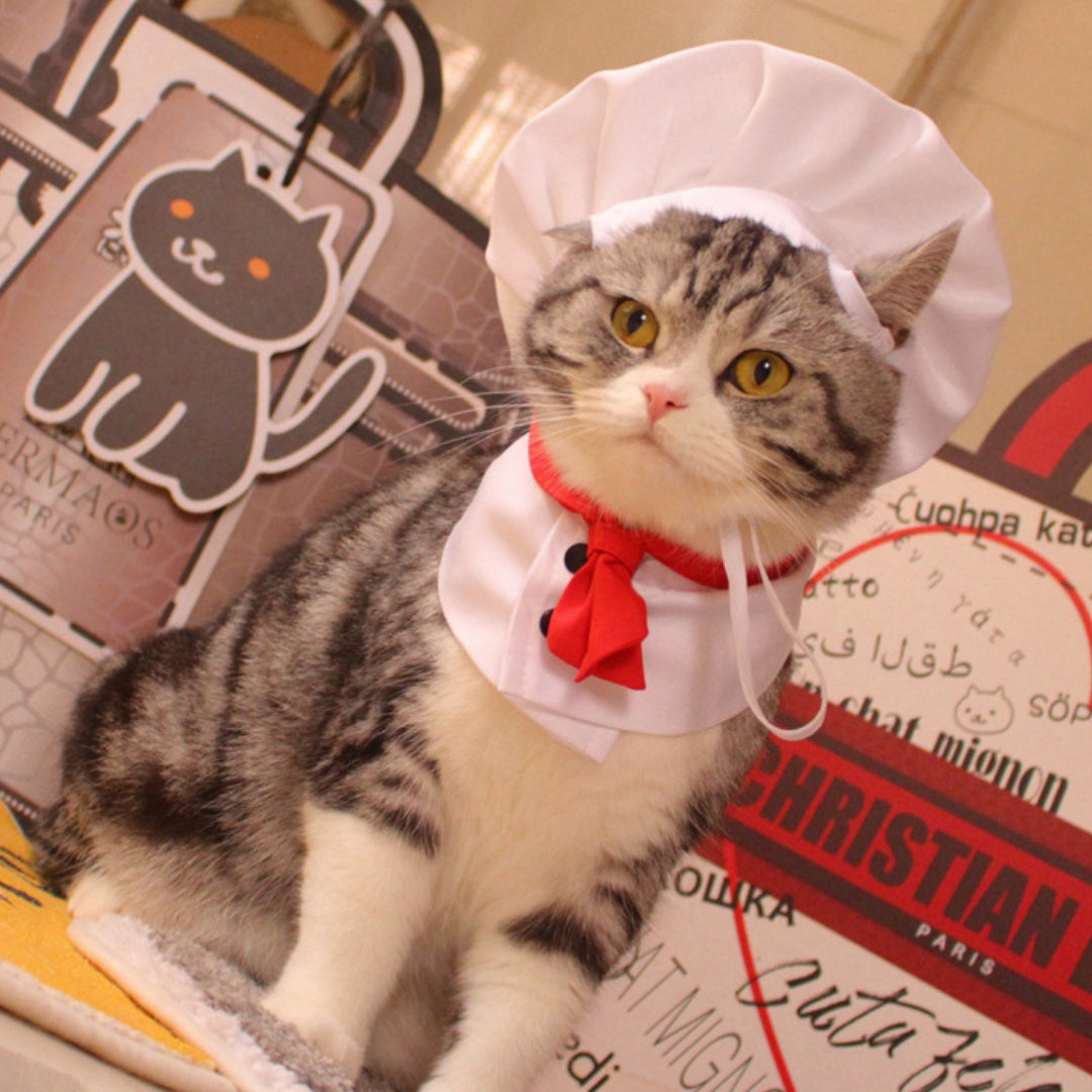Chef Hat & Cloak Costume for Pets